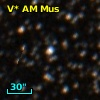 V* AM Mus