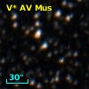 V* AV Mus