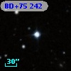 BD+75   242