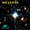HD 123755