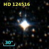HD 124516