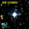 HD 123801