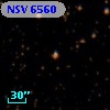 NSV  6560