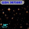 LEDA 3075607