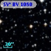 SV* BV  1080