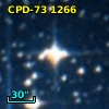 CPD-73  1266