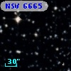 NSV  6665