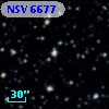 NSV  6677
