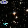 L   71-61