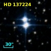 HD 137224