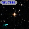NSV  7888