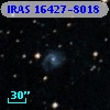 IRAS 16427-8018
