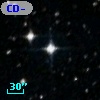 CD-80   598