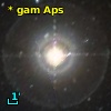 * gam Aps