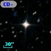 CD-80   617