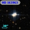 HD 163963