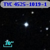 TYC 4525-1019-1