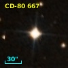CD-80   667