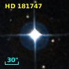 HD 181747