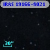 IRAS 19166-8021