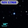 NSV 12960