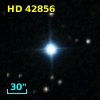 HD  42856