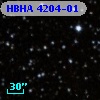 HBHA 4204-01