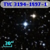 TYC 3194-1897-1