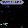NOGG P1 1028