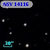 NSV 14116