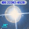 IDS 22202-6529