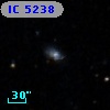IC 5238