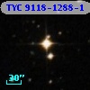 TYC 9118-1288-1