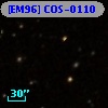 [EM96] COS-0110