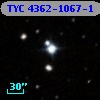 TYC 4362-1067-1