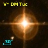 V* DM Tuc