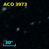 ACO  3973
