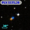 PLX 5575.20