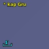 * kap Gru