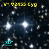 V* V2455 Cyg