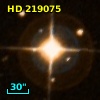 HD 219075