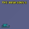 TYC 8458-1065-1