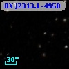 RX J2313.1-4950
