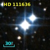 HD 111636