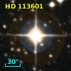 HD 113601