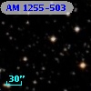 AM 1255-503