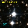 HD 114247