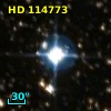 HD 114773