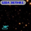 LEDA 3079481