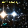 HD 116055